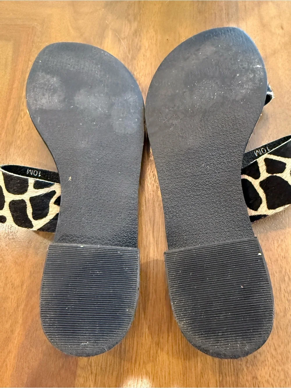 Coconuts slides - Picture 4 of 4